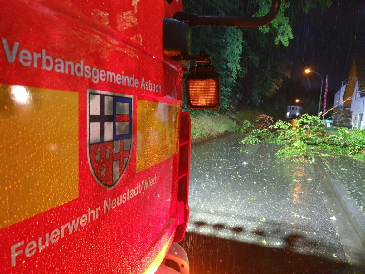 Mehrere umgestürzte Bäume wurde beseitigt.