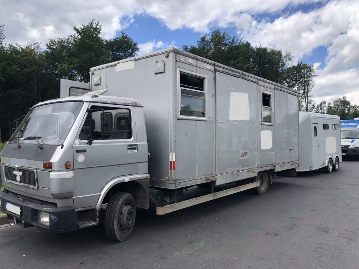 Großer silberner Pferdetransporter auf einer Straße.