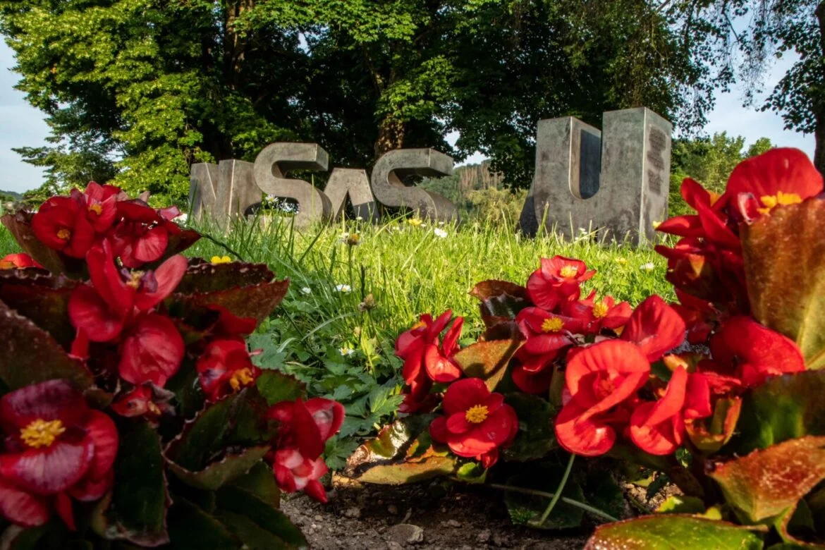 Große Buchstaben 'Nassau' im Grünen mit roten Blumen im Vordergrund