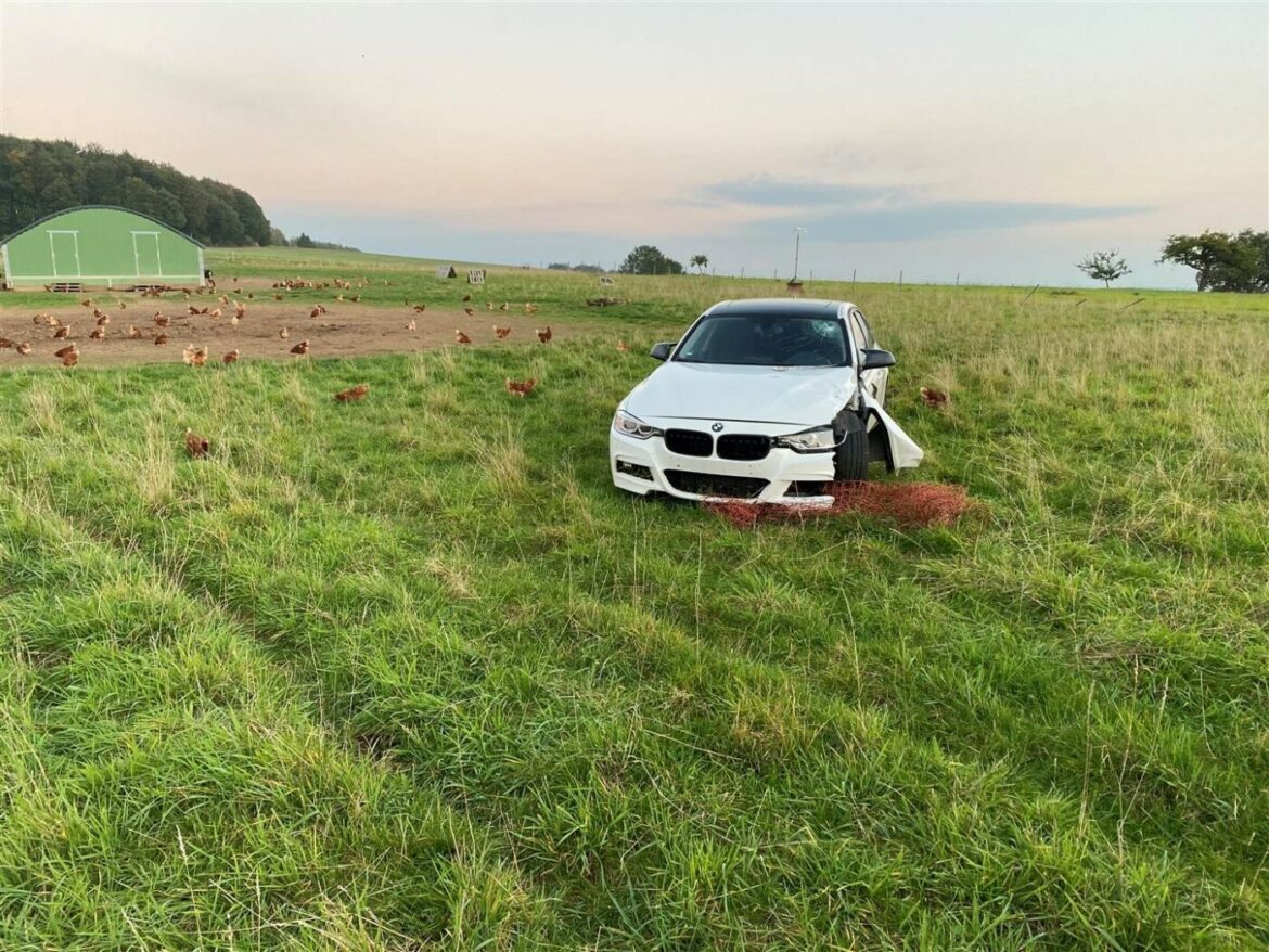 Beschädigtes Auto auf einer Wiese mit Hühnern im Hintergrund