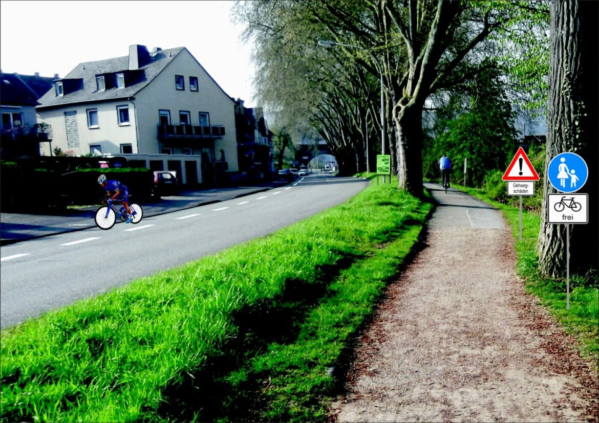 Radfahrer auf dem Moseluferweg neben einer Straße