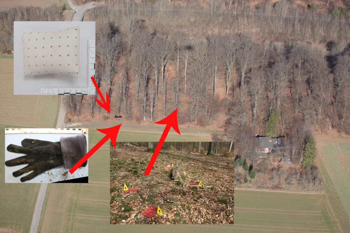 Luftaufnahme eines Waldgebiets mit markierten Fundorten.