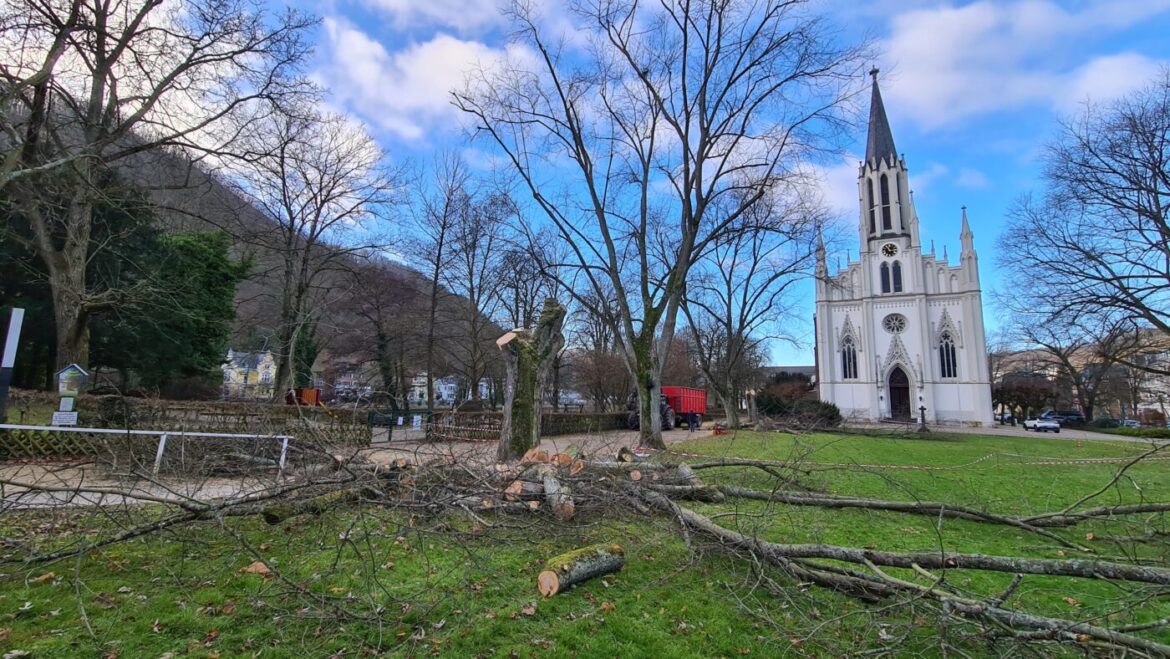 Gefällte Bäume vor einer Kirche mit blauem Himmel.