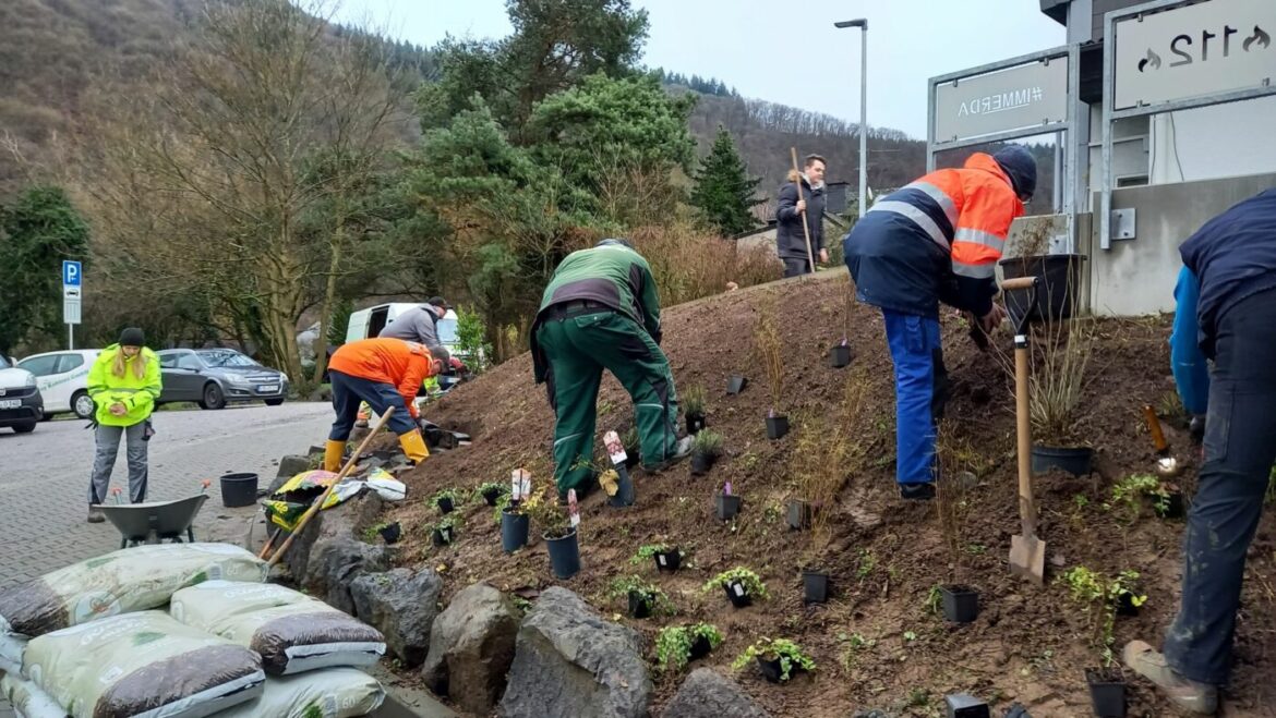 Freiwillige pflanzen Sträucher vor einem Gebäude.