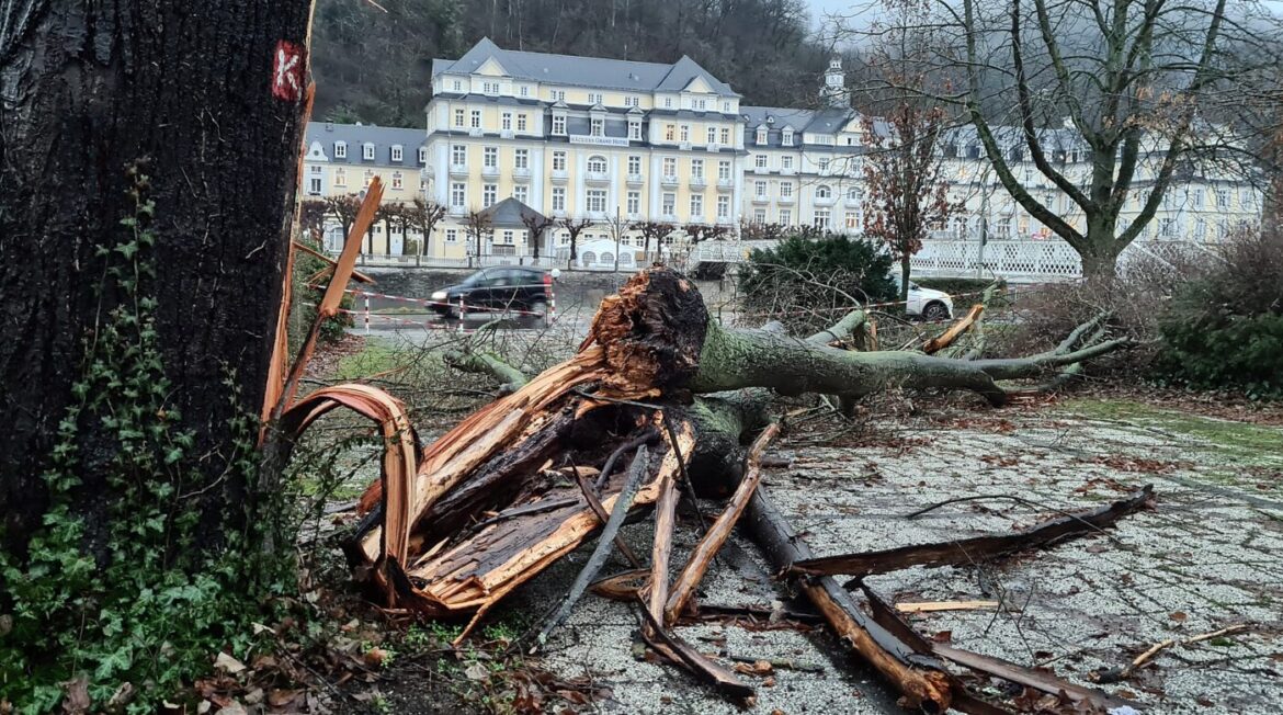 Umgestürzter Baum vor einem historischen Gebäude