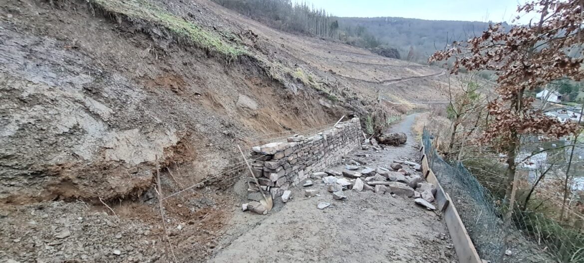 Sanierung einer Weinbergsmauer in Weinaehr.