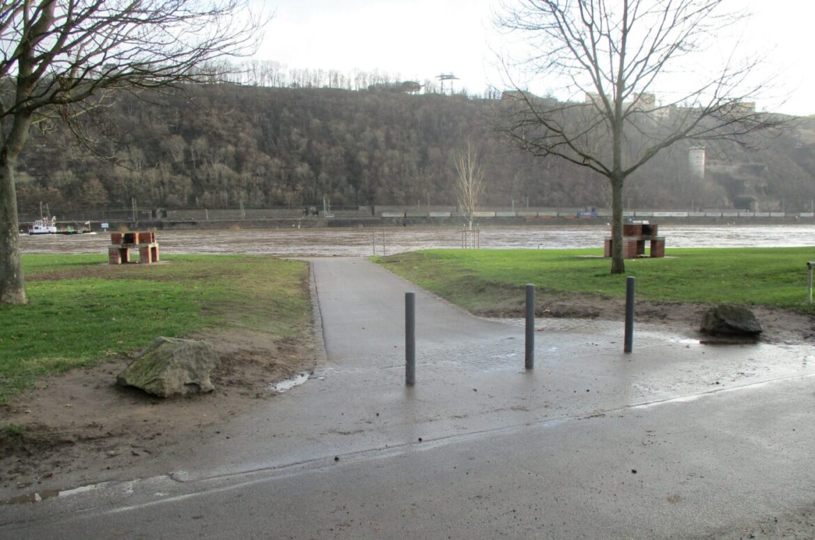 Verbindungsweg zum Schartwiesenweg am Rhein mit Bäumen und Flussufer.