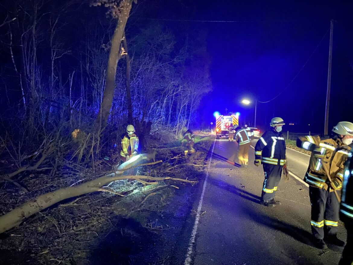 Feuerwehrleute räumen nachts eine Straße von umgestürzten Bäumen.