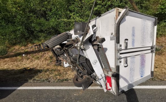 WhatsApp Image 2022-08-02 at 20.21.30 (3)