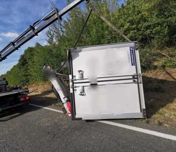 WhatsApp Image 2022-08-02 at 20.21.30