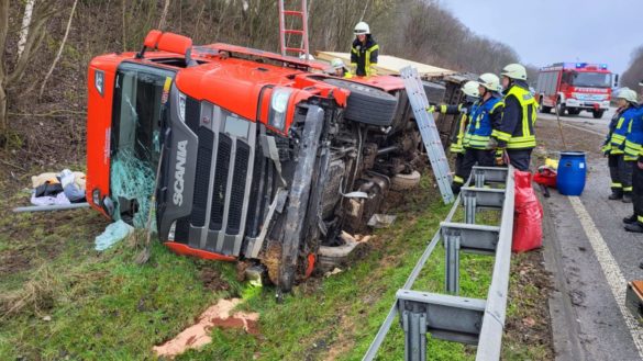 WhatsApp Image 2023-03-20 at 09.20.09