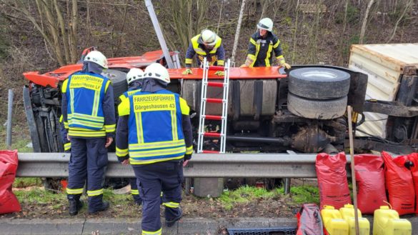 WhatsApp Image 2023-03-20 at 09.28.11