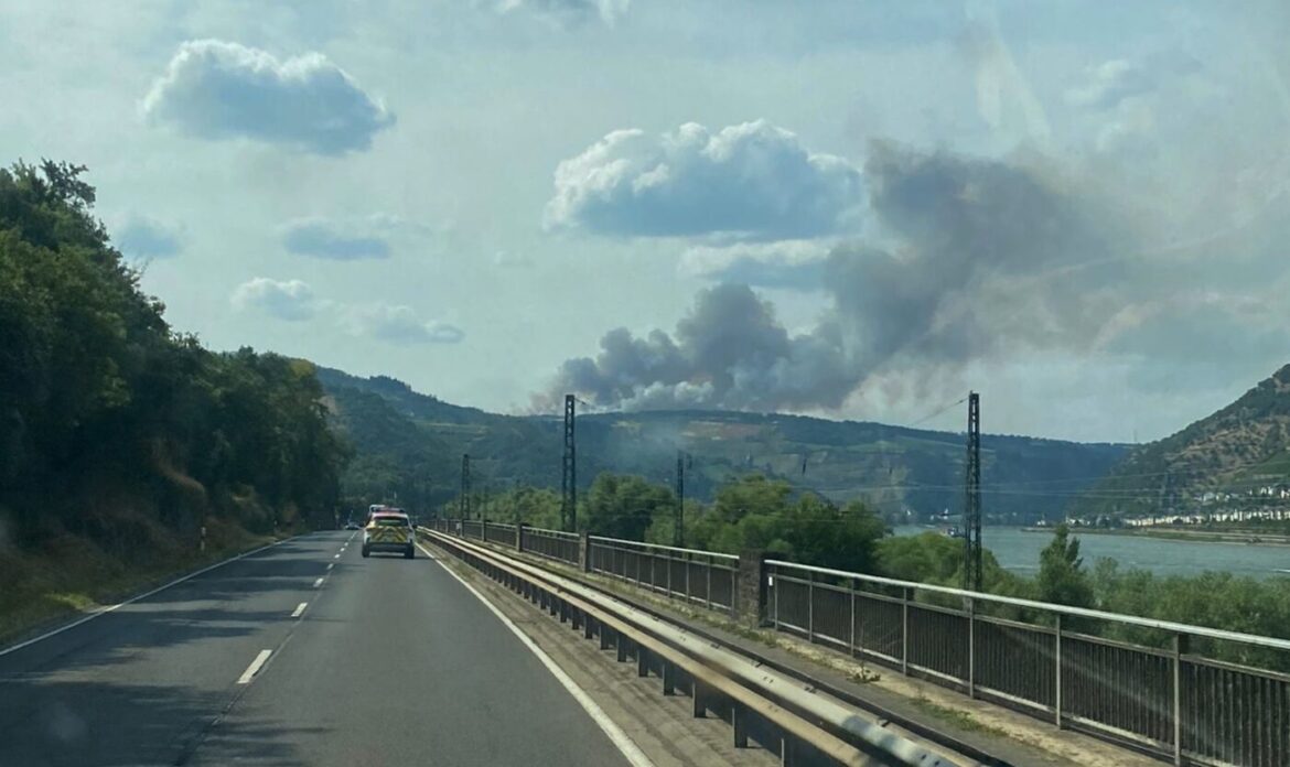 WhatsApp Image 2023-07-04 at 17.33.12 (1)