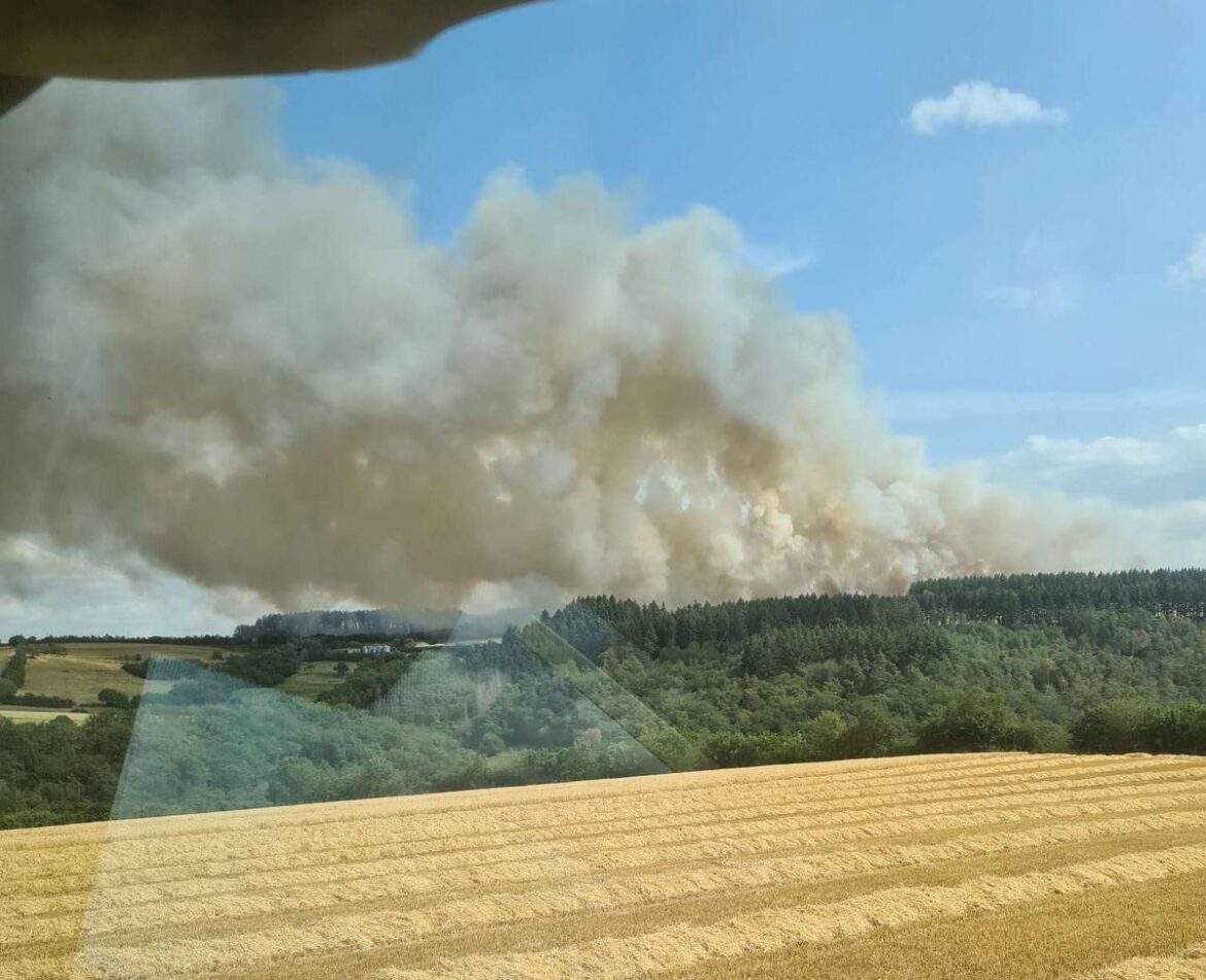 WhatsApp Image 2023-07-04 at 17.33.12