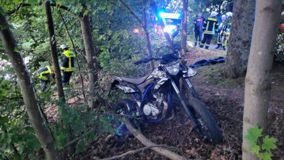 WhatsApp Image 2023-07-14 at 21.33.51