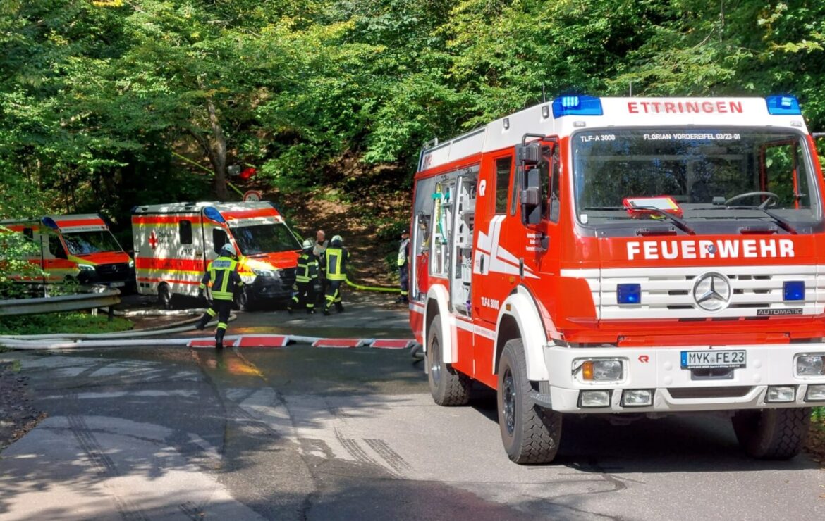Feuerwehrfahrzeug und Rettungswagen stehen an einer Straße, Feuerwehrleute arbeiten im Waldgebiet.