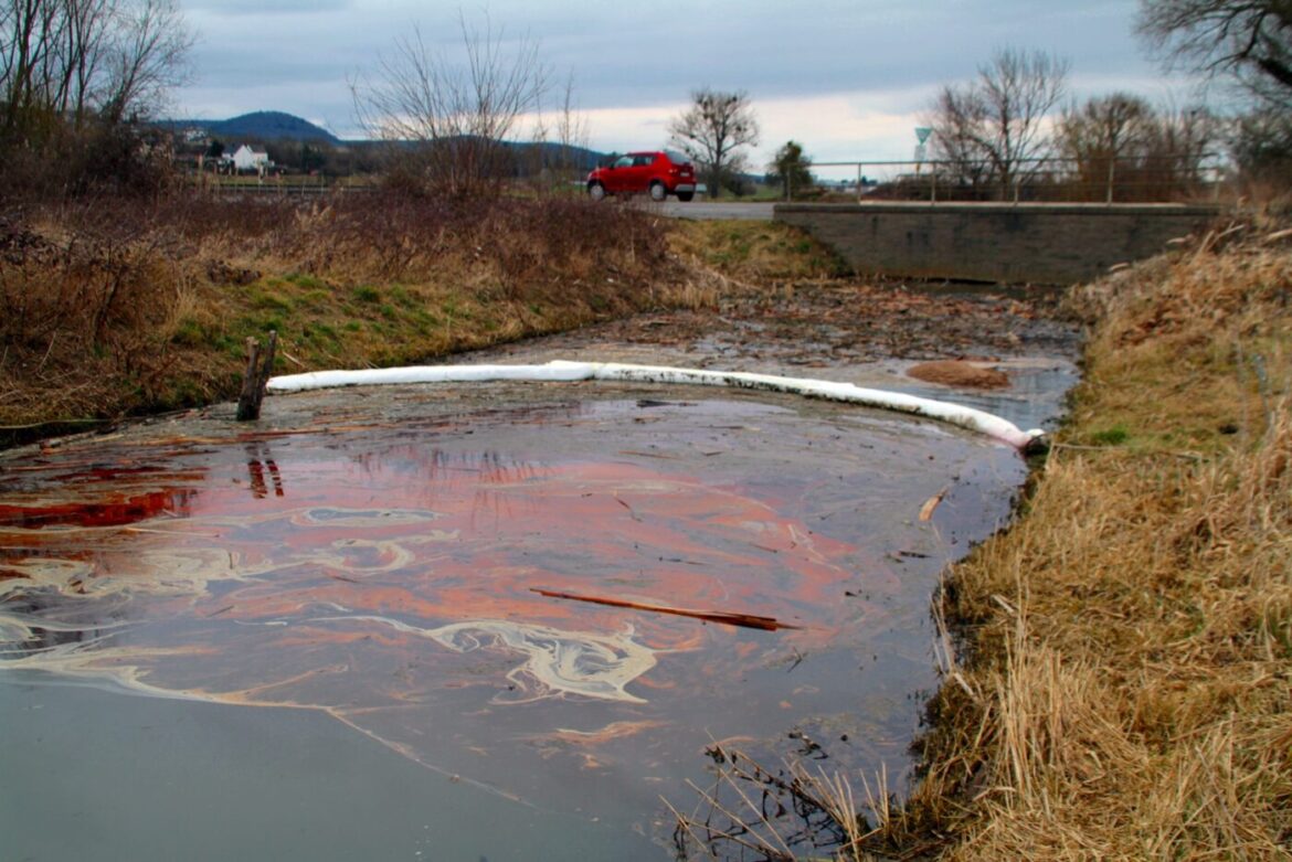 480568101_10234341621582728_2562610627745265826_n