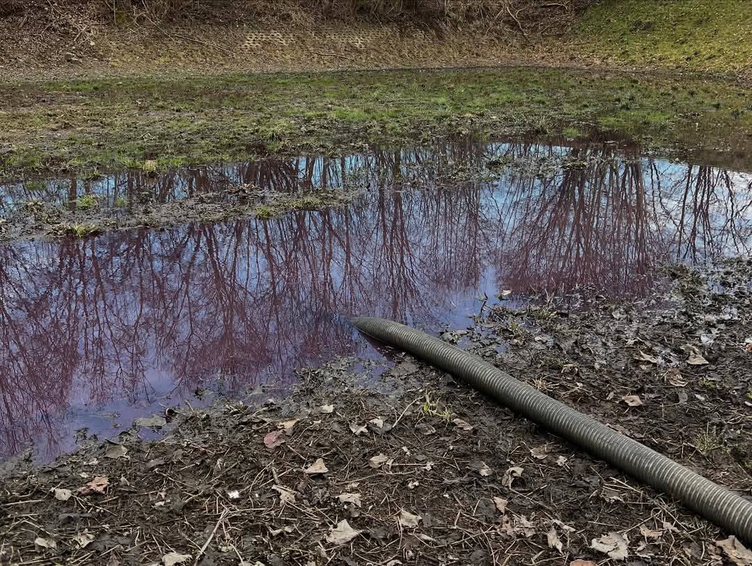 480632271_1201688435291822_230916020928869545_n