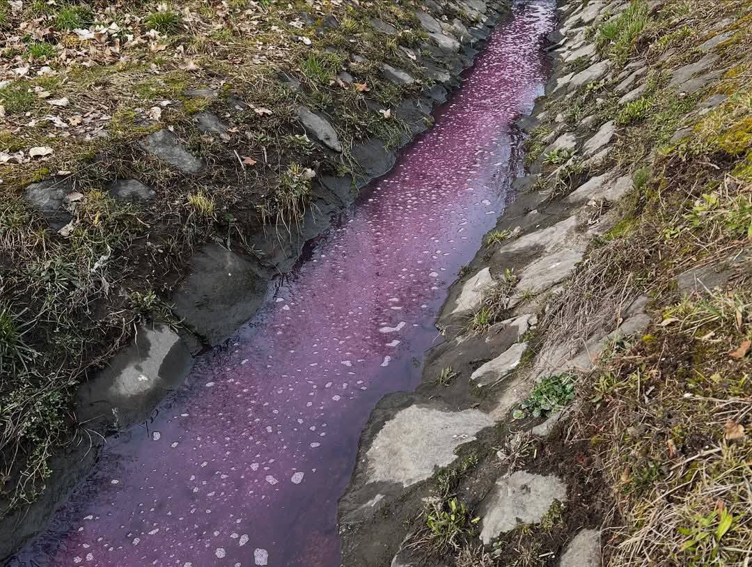 480778080_1201688048625194_6692272405382627118_n