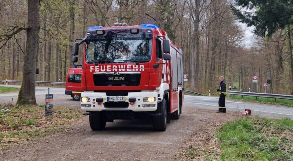 Waldbrand Nassau_Winden (30)