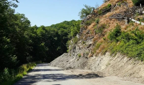 L335 Braubach Dachsenhausen Juli 25 (3) Straßensperrung L335 bei Braubach, 56aktuell berichtet