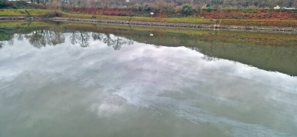 Lahnstein_Hafen (11)-min Lahnstein Hafenansicht, ruhiges Wasser, 56 aktuell News