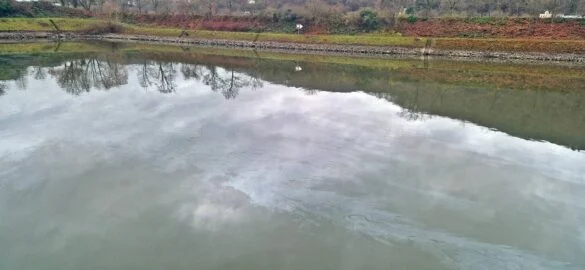Lahnstein_Hafen (11)-min Lahnstein Hafenansicht, ruhiges Wasser, 56 aktuell News