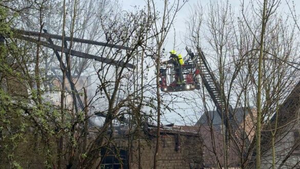 WhatsApp Image 2026-04-10 at 22.45.07 6