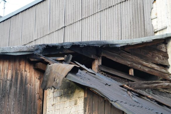 WhatsApp Image 2026-04-10 at 22.45.07 7