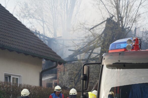 WhatsApp Image 2026-04-10 at 22.45.07 8