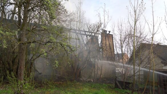 WhatsApp Image 2026-04-10 at 22.45.07 9