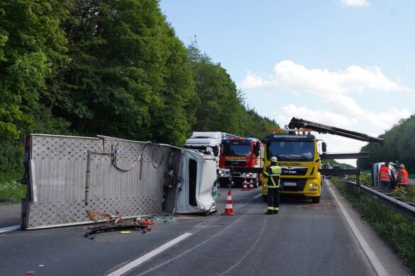 A61_Unfall_Autotransporter (7)