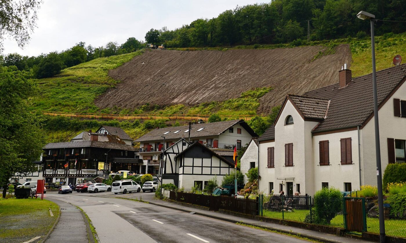 Weinähr (9)