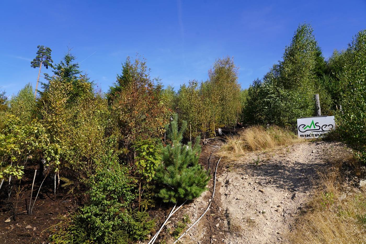 Brand 2 Bikepark (13)-min