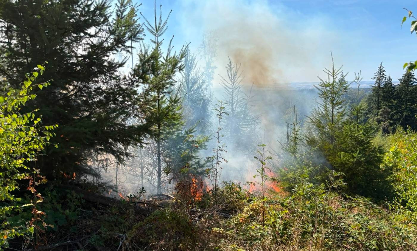 Brand 2 FF Kemmenau (5)-min