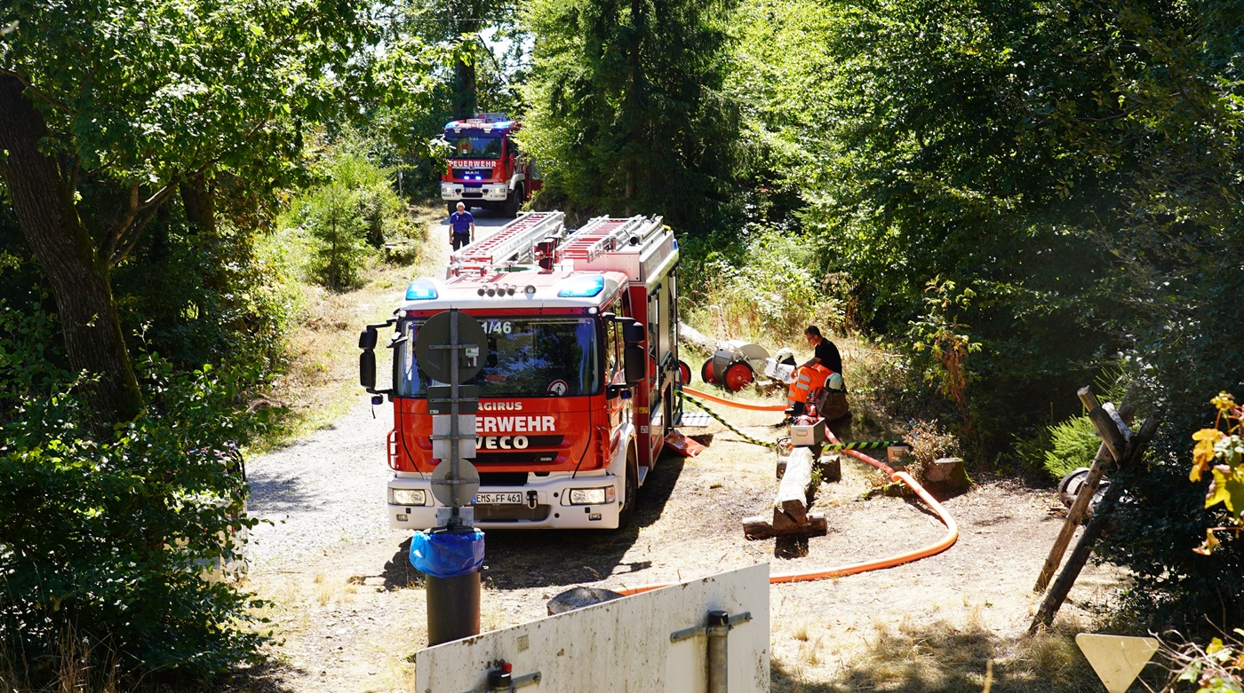 DSC06451