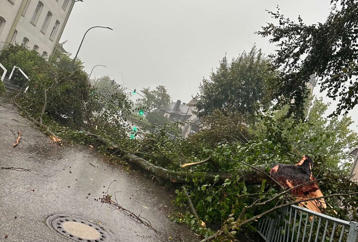 Höhr-Grenzhausen Baum Geländer