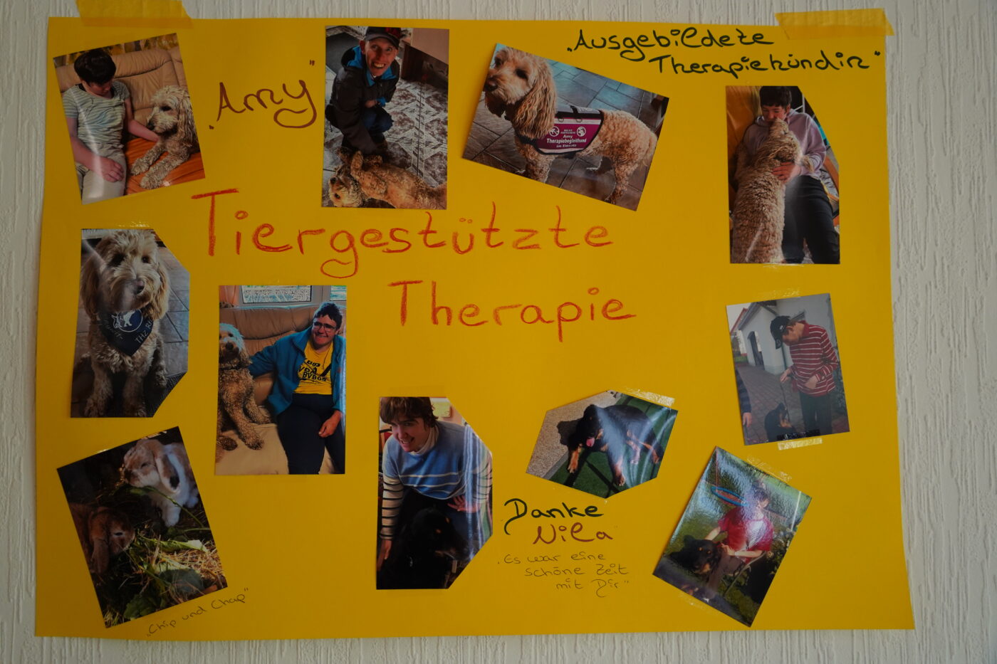 WIR_in_Selters_001